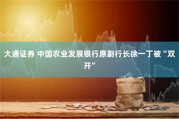 大通证券 中国农业发展银行原副行长徐一丁被“双开”